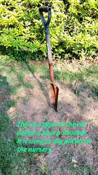 sharpshooter-in-ground-0905