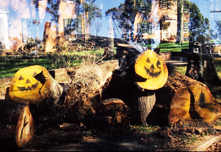 Hugo holloween Hugo holloween