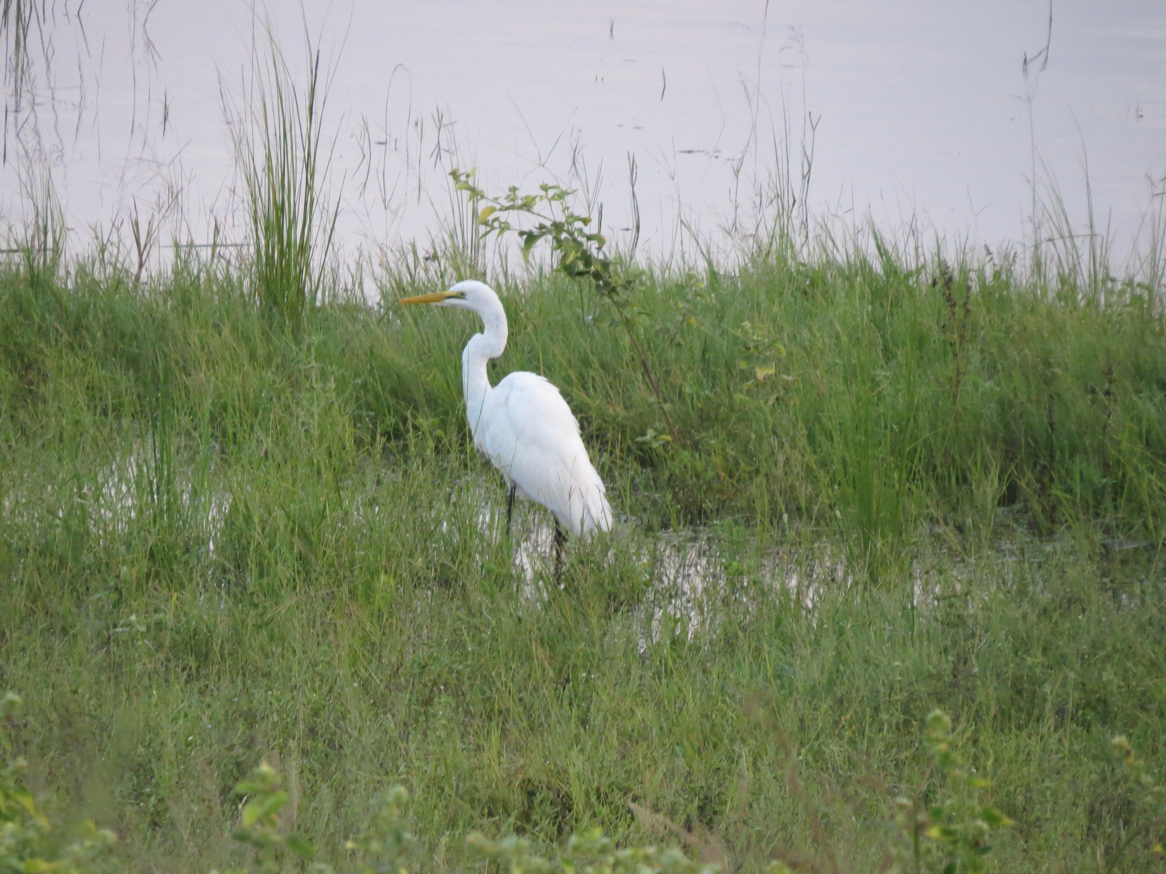 IMG_0027 IMG_0027