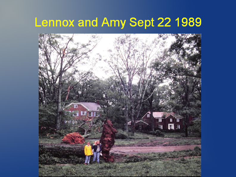 Lennox and Amy Lennox and Amy