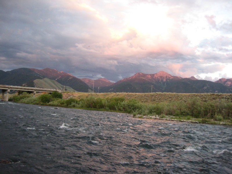 Picture 010