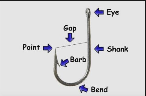 anatomy of a hook crop