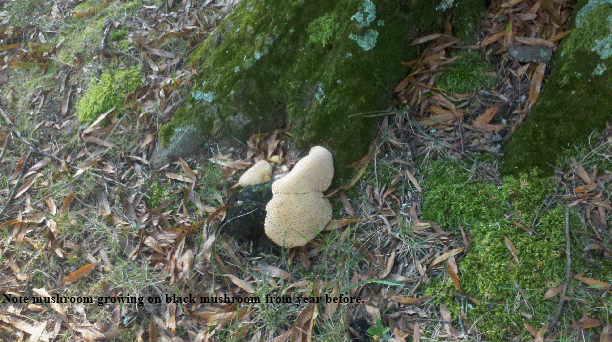 2013-10-04_09-24-03_127(1)