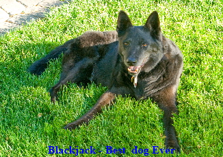 IMGP4600_edited-1