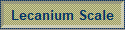 Lecanium Scale