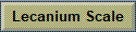 Lecanium Scale