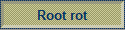 Root rot