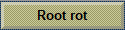 Root rot