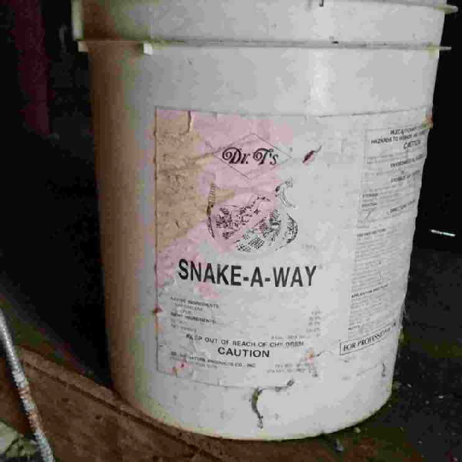 snake away snake away