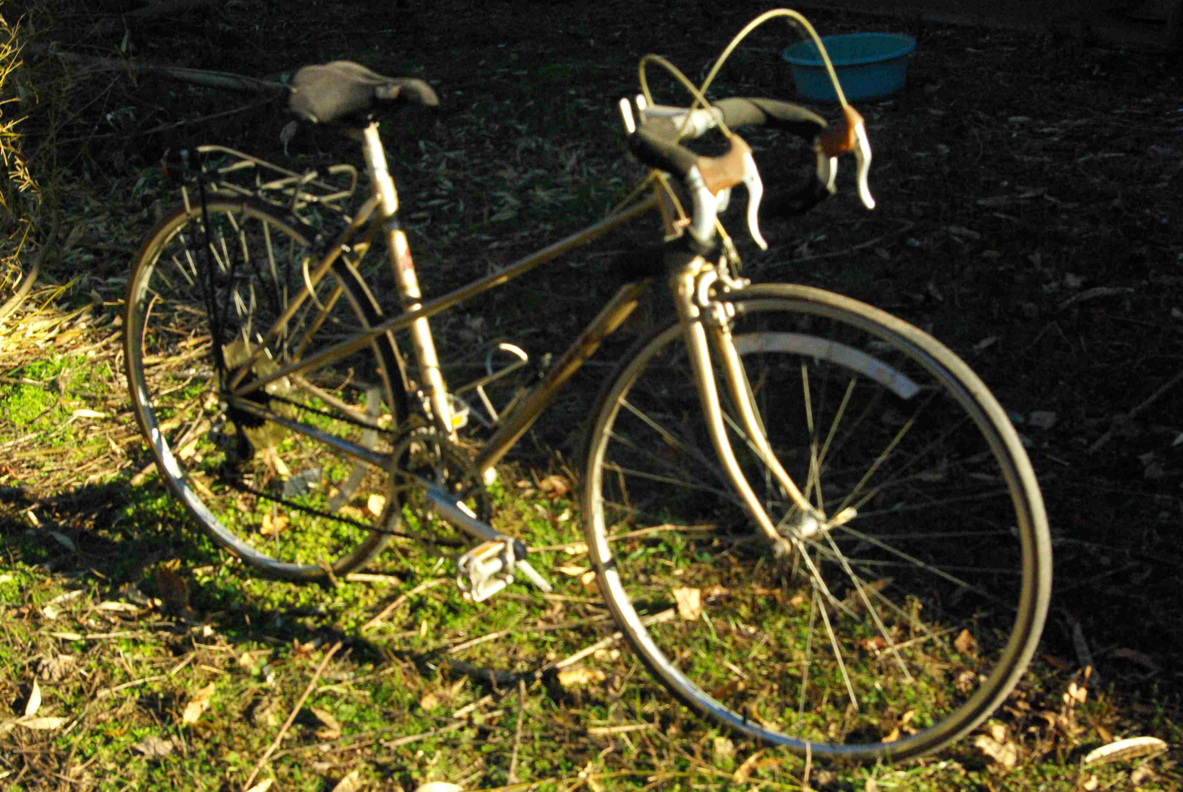 bike 2