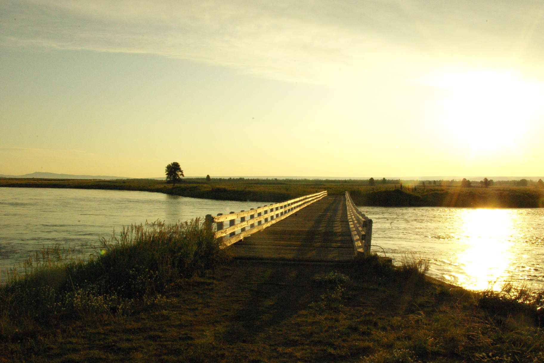 bridge_cought 17 incher 5147 bridge_cought 17 incher 5147