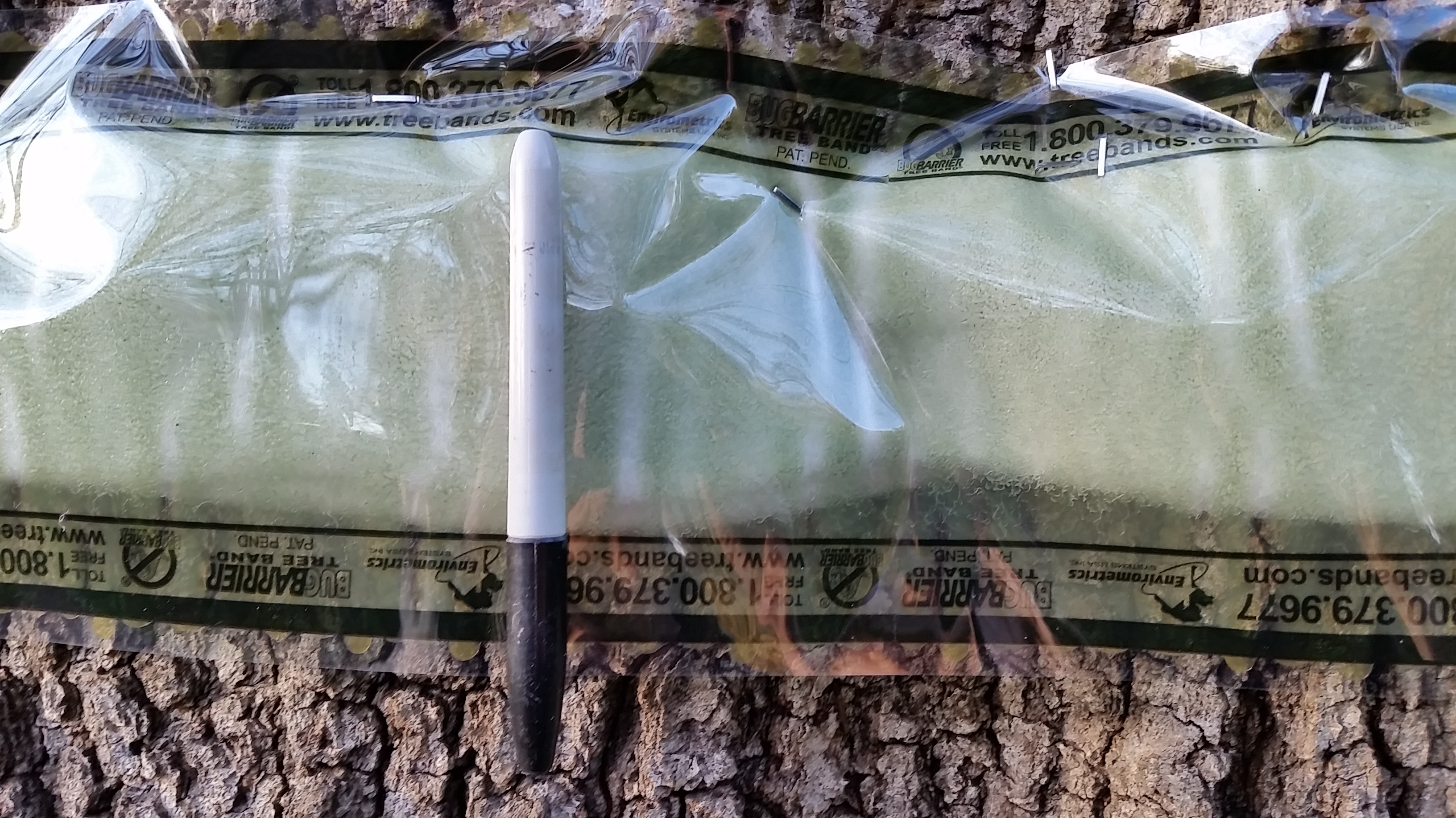 bug barrier done wrong 2015