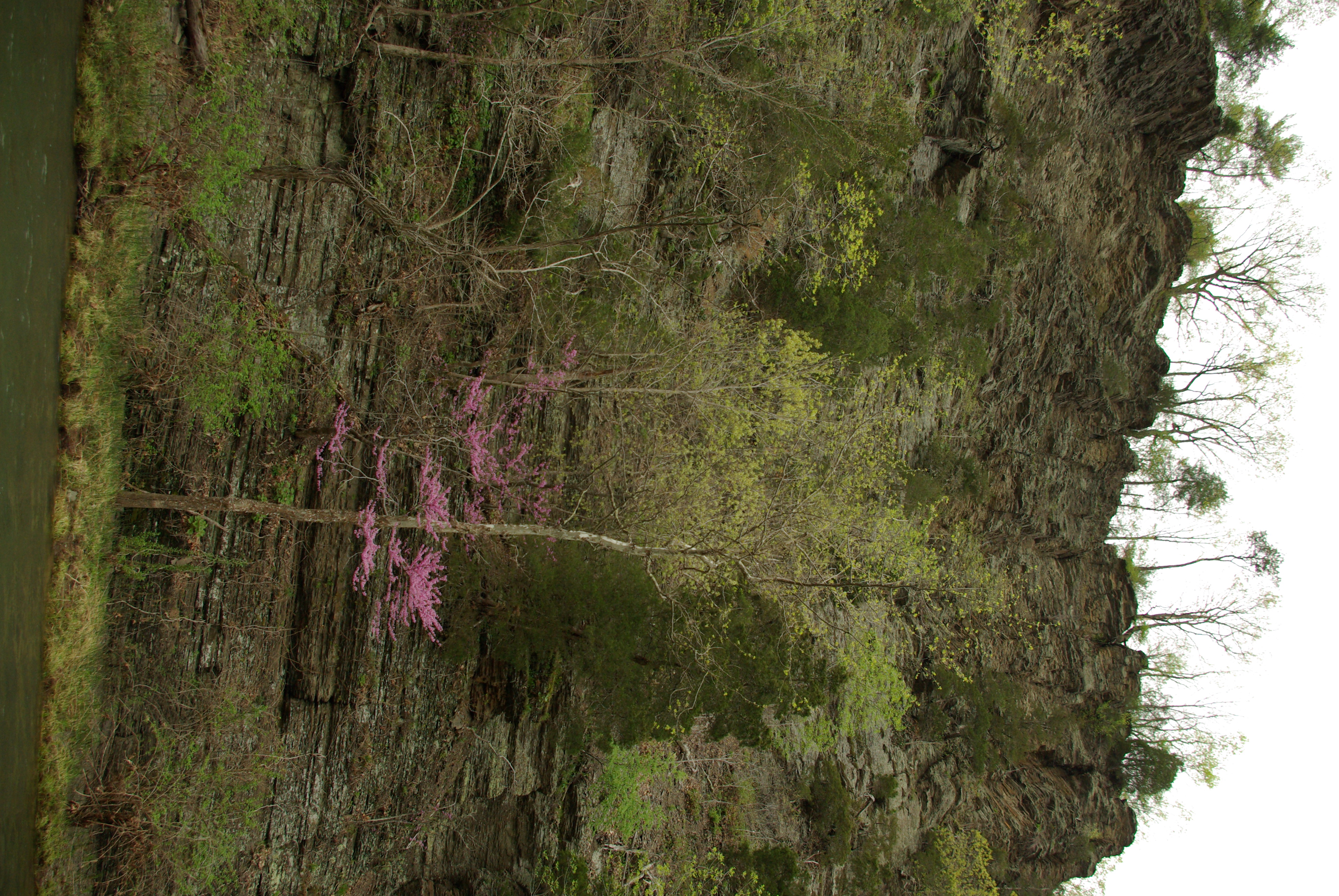cliff_0405 cliff_0405