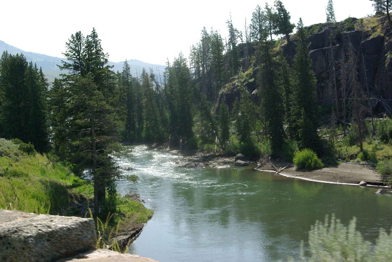 in_yellowstone_7699-r