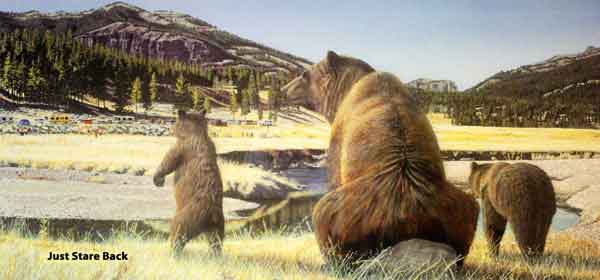 just-stare-back-7901_res
