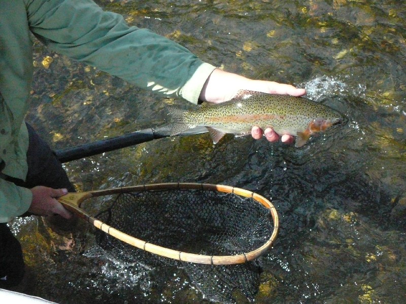 lee_trout_hand