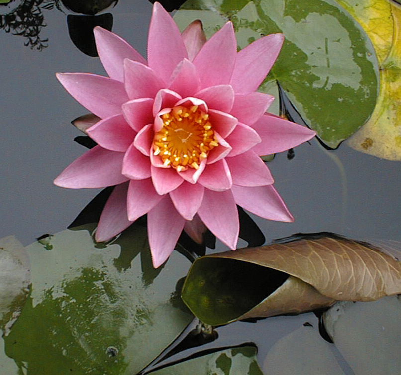 mayla008_web
