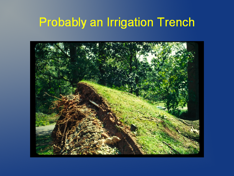 probably an irrigation trench probably an irrigation trench