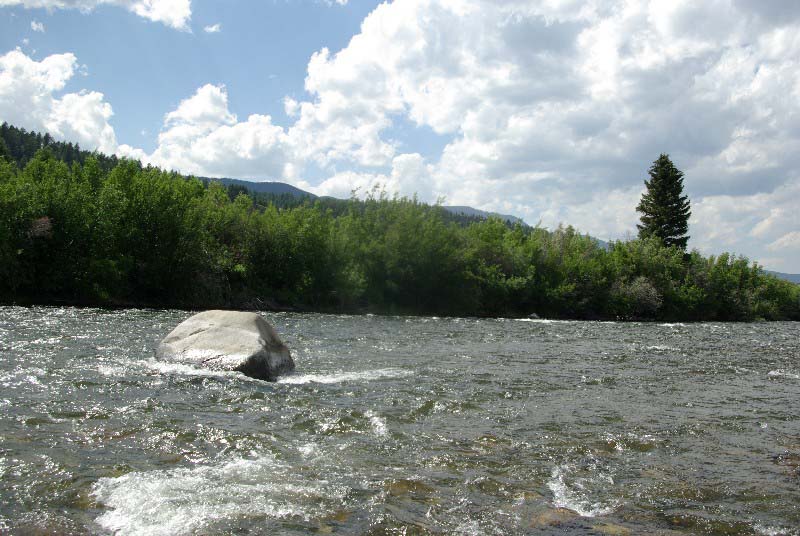 rock_7537