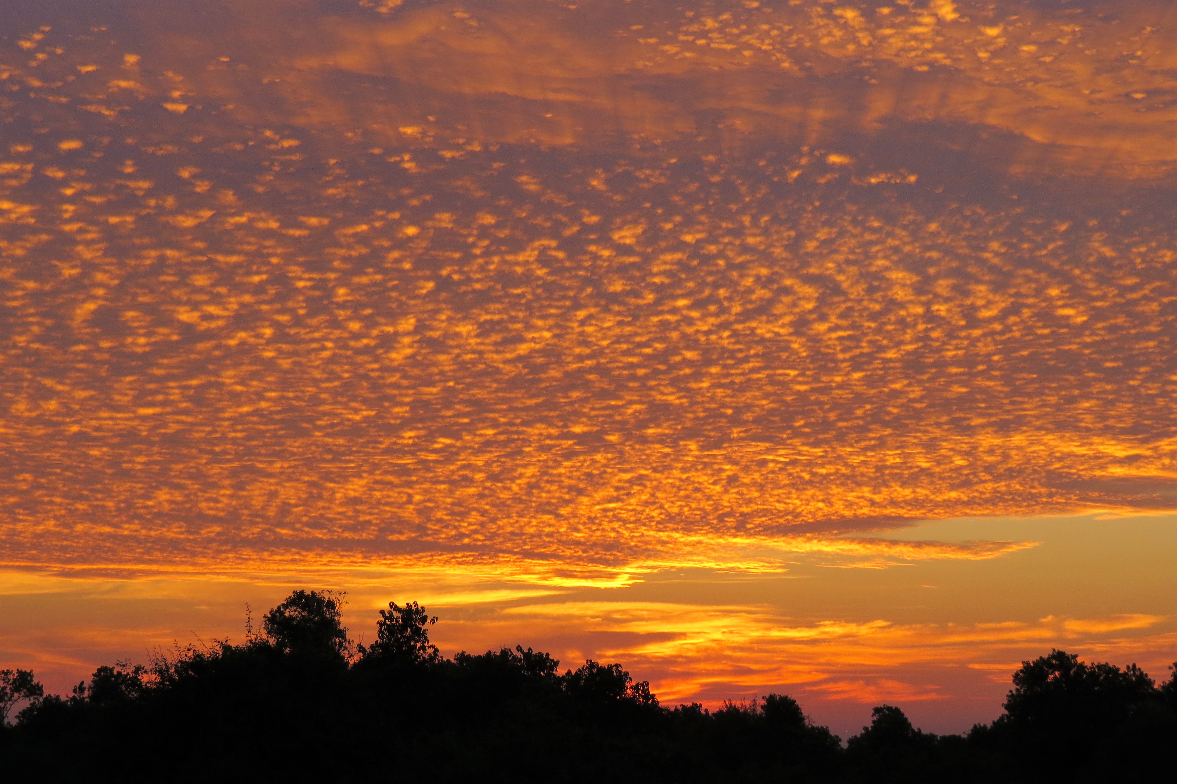 sunrise scattered clouds_0011 sunrise scattered clouds_0011