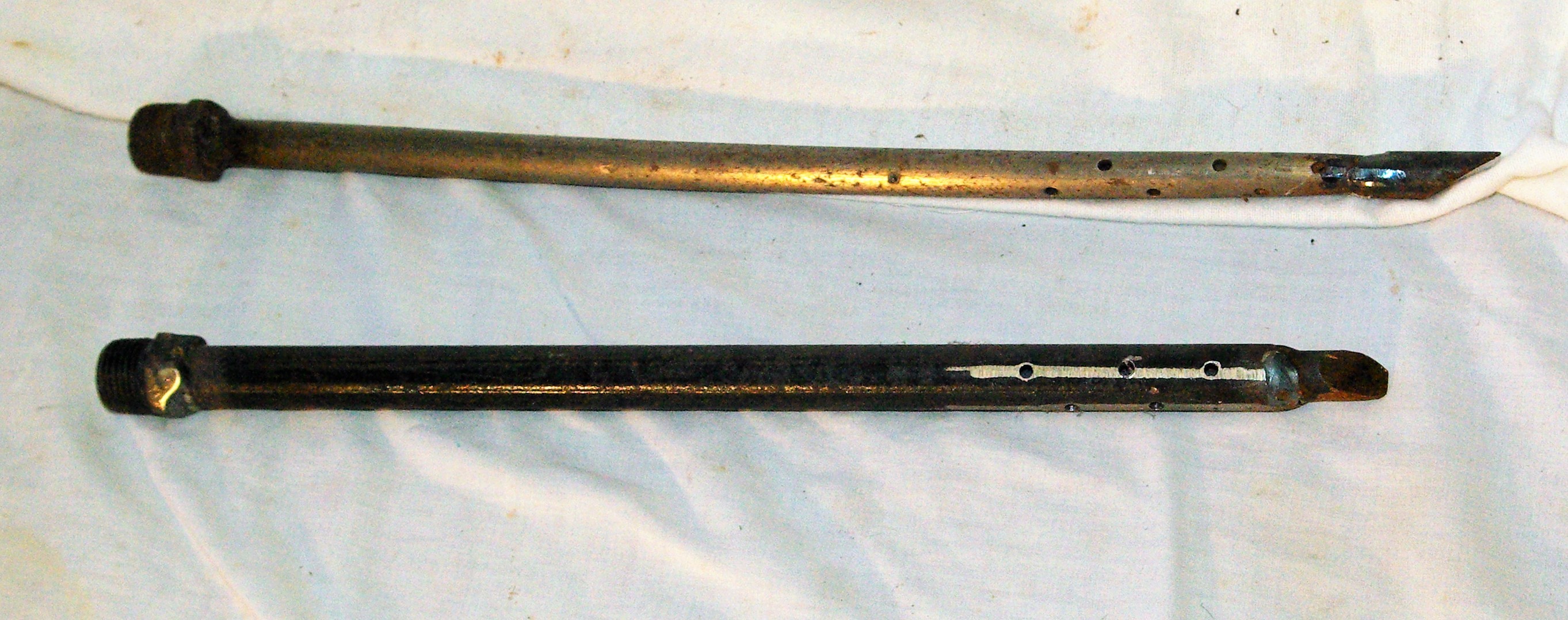 tree feeding bits tree feeding bits