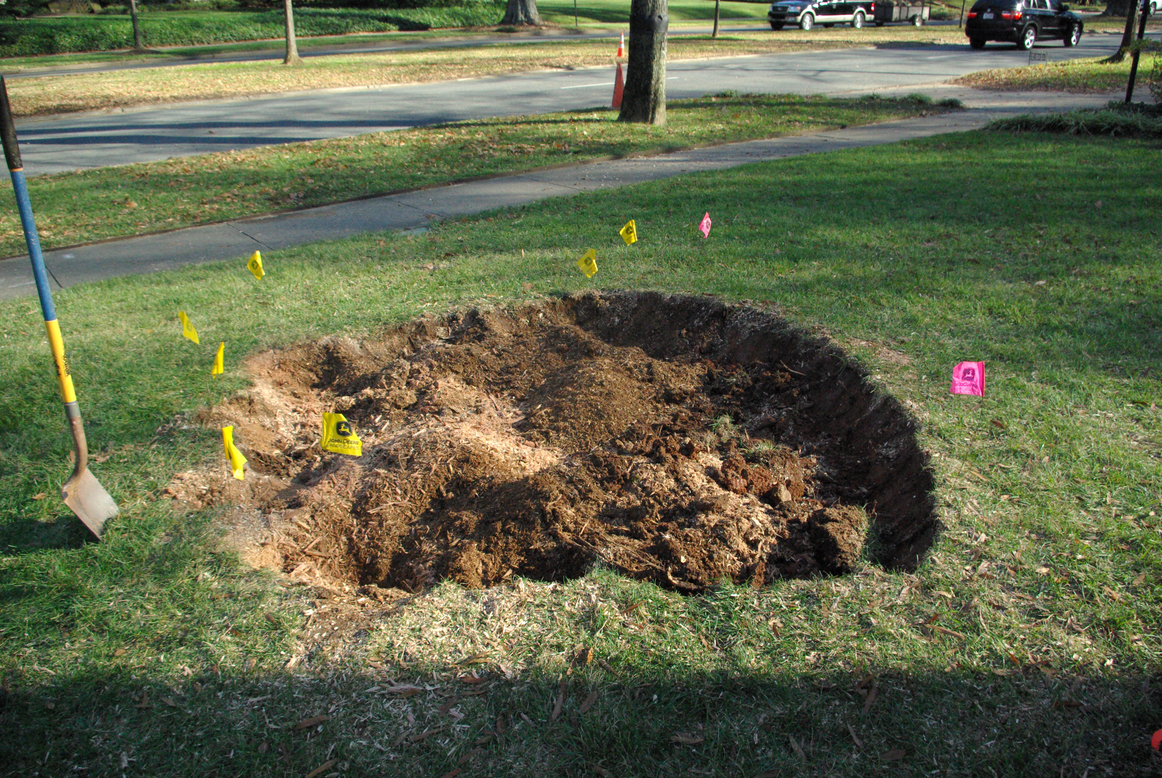 wio stump 1436_4497 wio stump 1436_4497