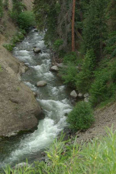 yellowstone_7843